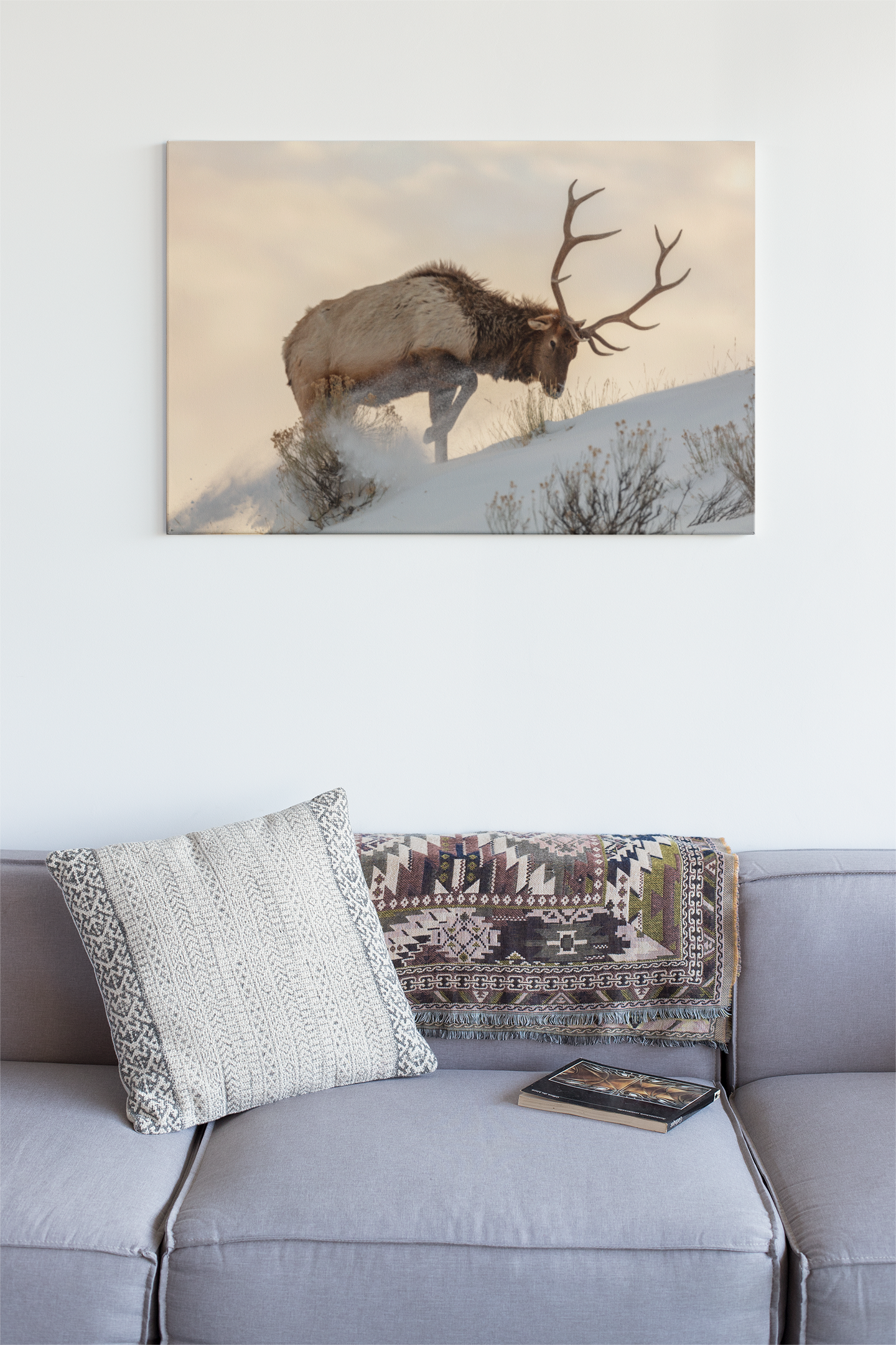 Bull Elk In The Snow Glass Wall Art