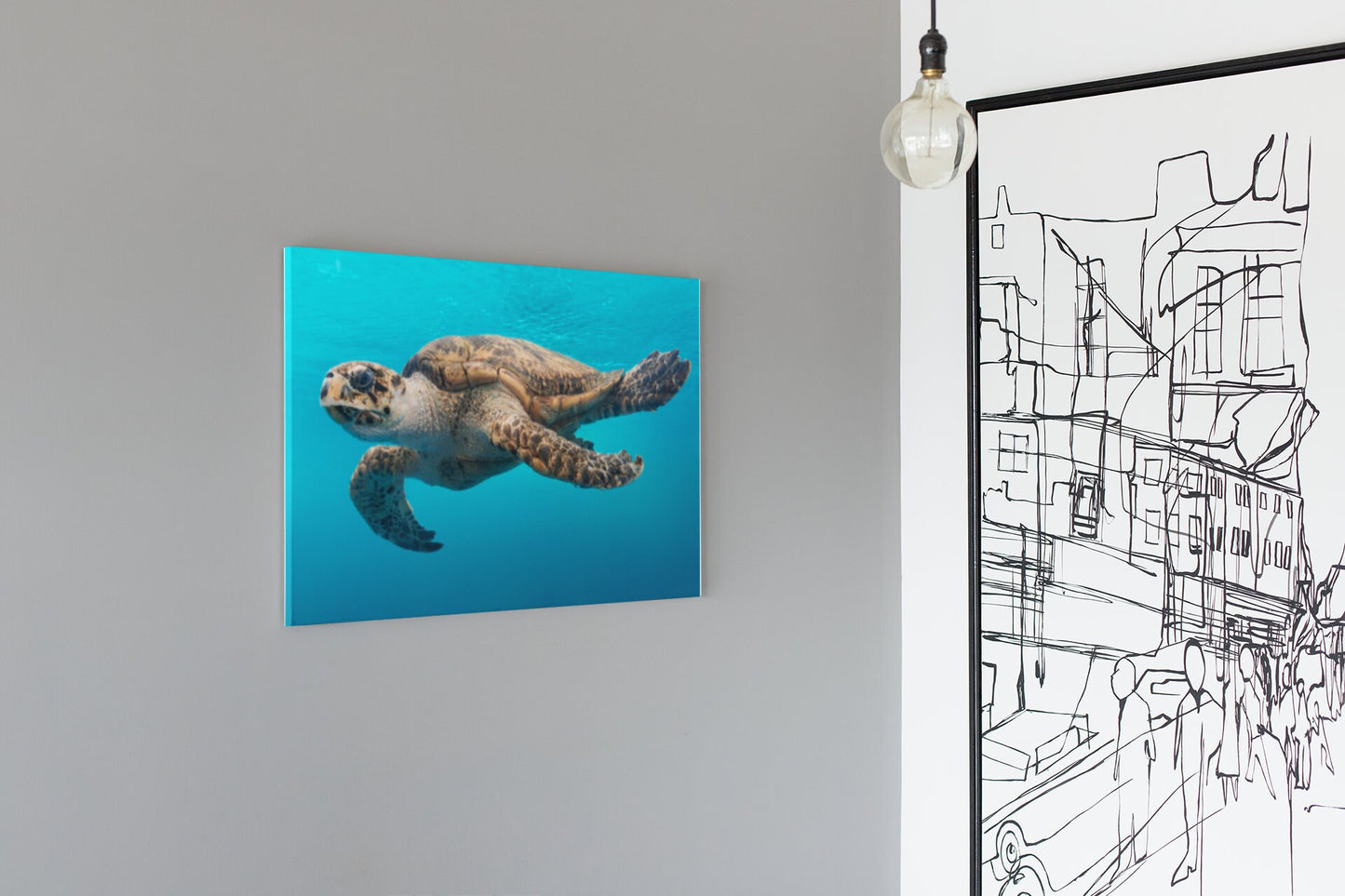 A Turtle Glides Through The Water High Gloss Acrylic Glass Wall Art Ready To Hang