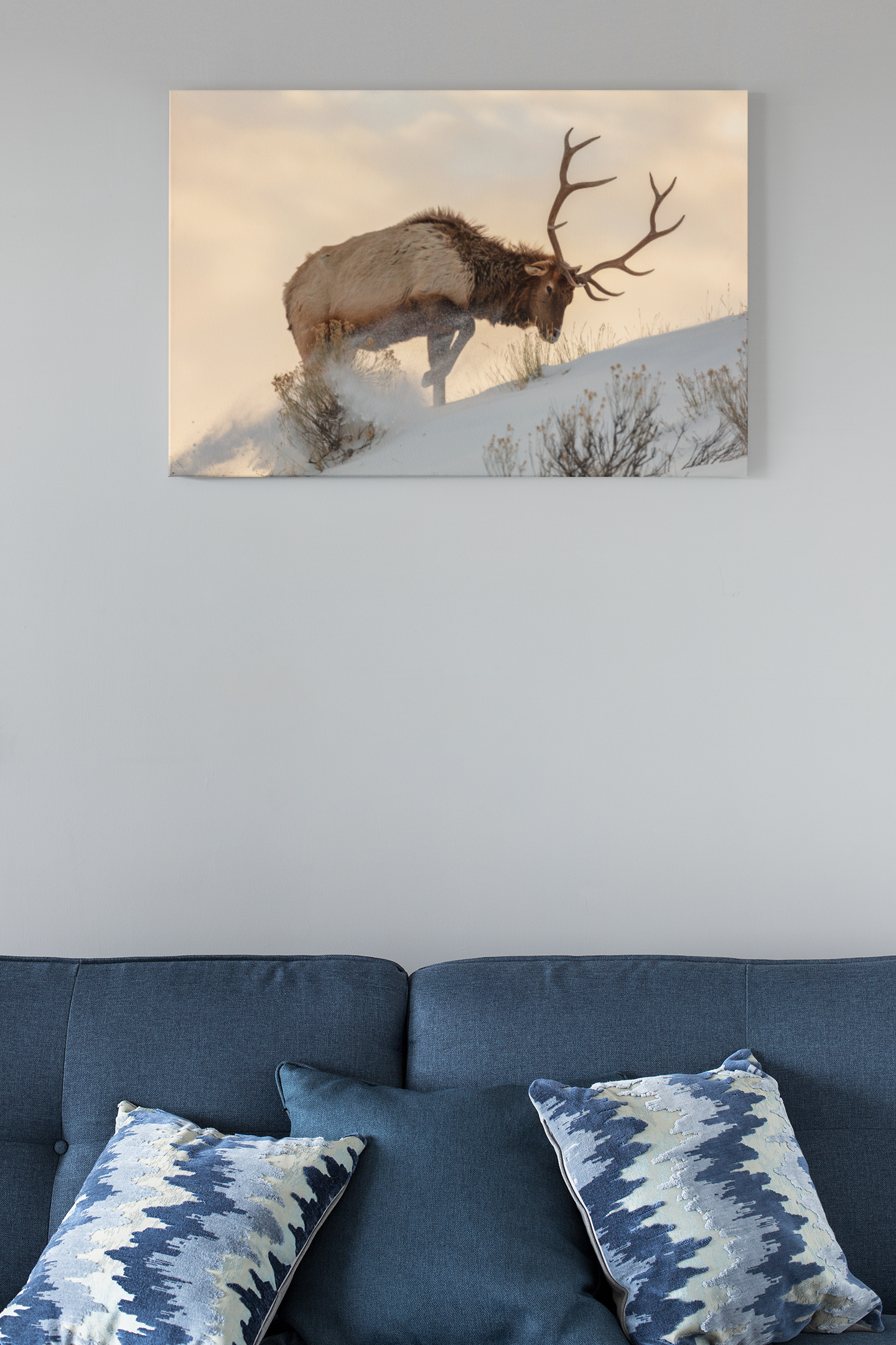 Bull Elk In The Snow Glass Wall Art