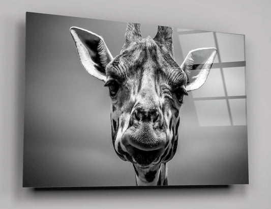 Black And White Giraffe High Gloss Acrylic Glass Wall Art Ready To Hang