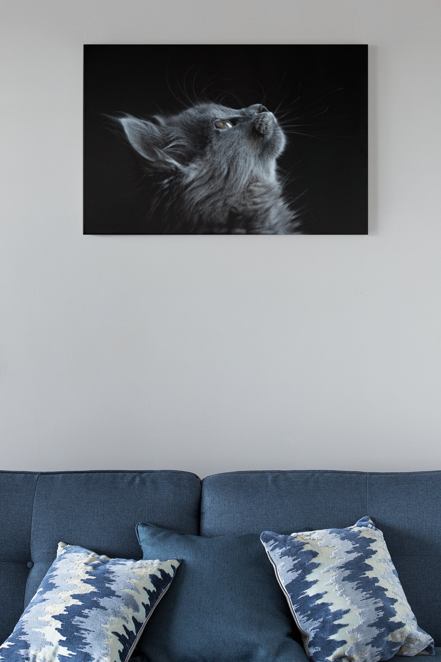 Cute Gray Cat High Gloss Acrylic Glass Wall Art Ready To Hang