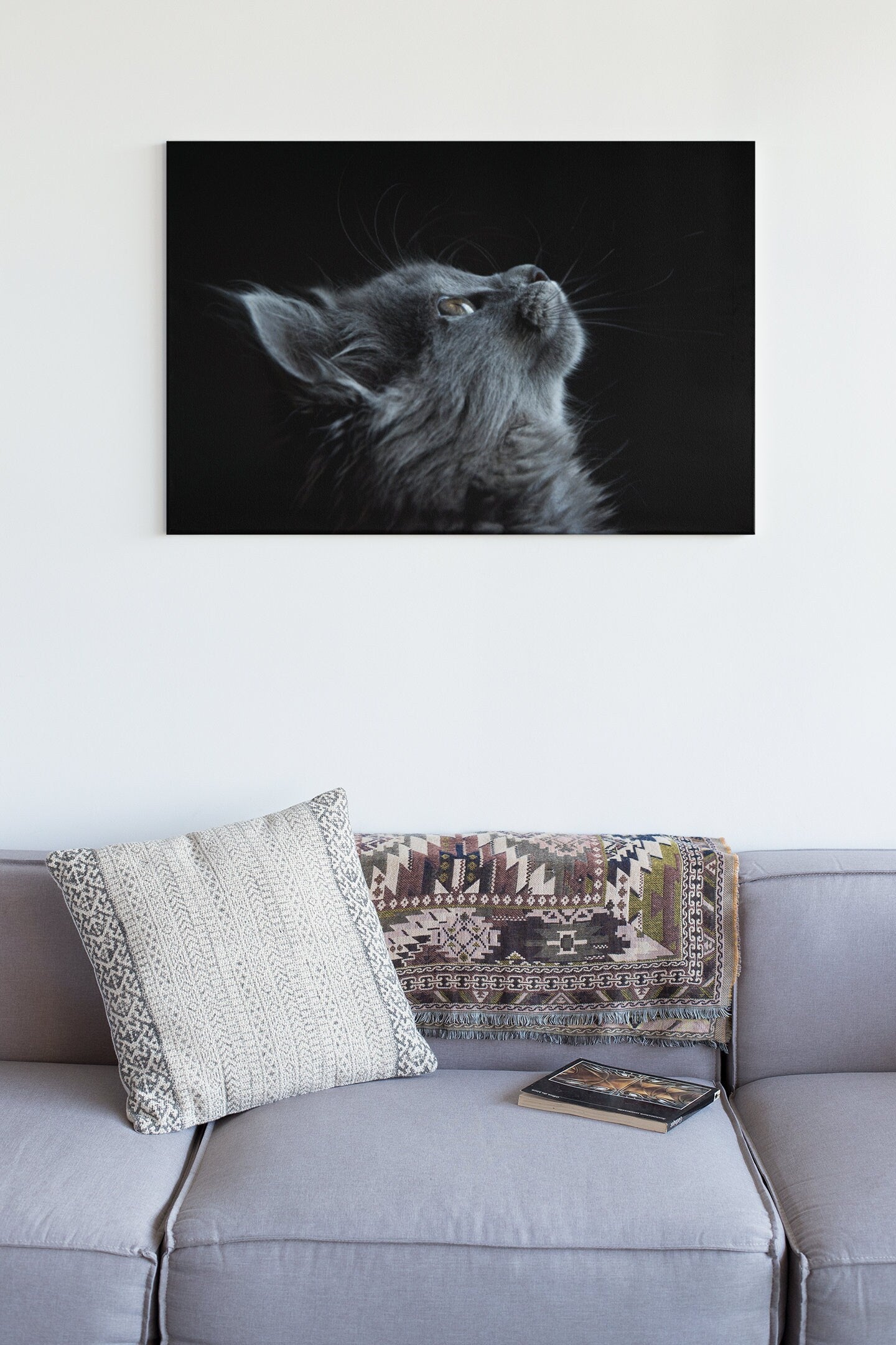 Cute Gray Cat High Gloss Acrylic Glass Wall Art Ready To Hang