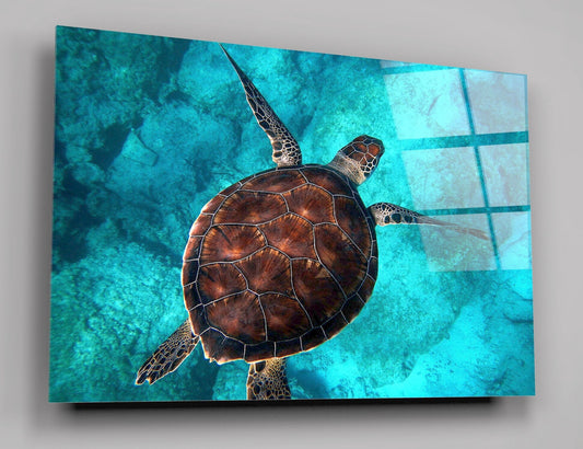 Big Sea Turtle Swimming Through The Ocean At Kaputas Beach High Gloss Acrylic Glass Wall Art Ready To Hang