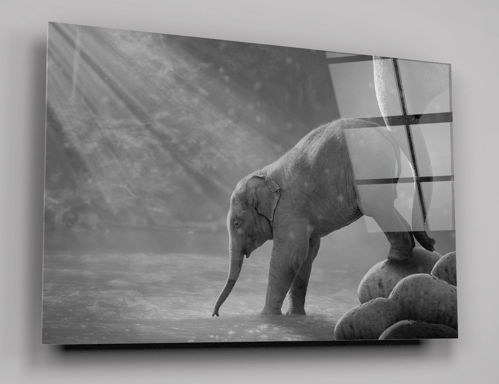 Black And White Elephant By The Waterfall High Gloss Acrylic Glass Wall Art Ready To Hang
