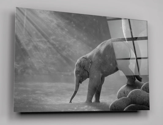 Black And White Elephant By The Waterfall High Gloss Acrylic Glass Wall Art Ready To Hang