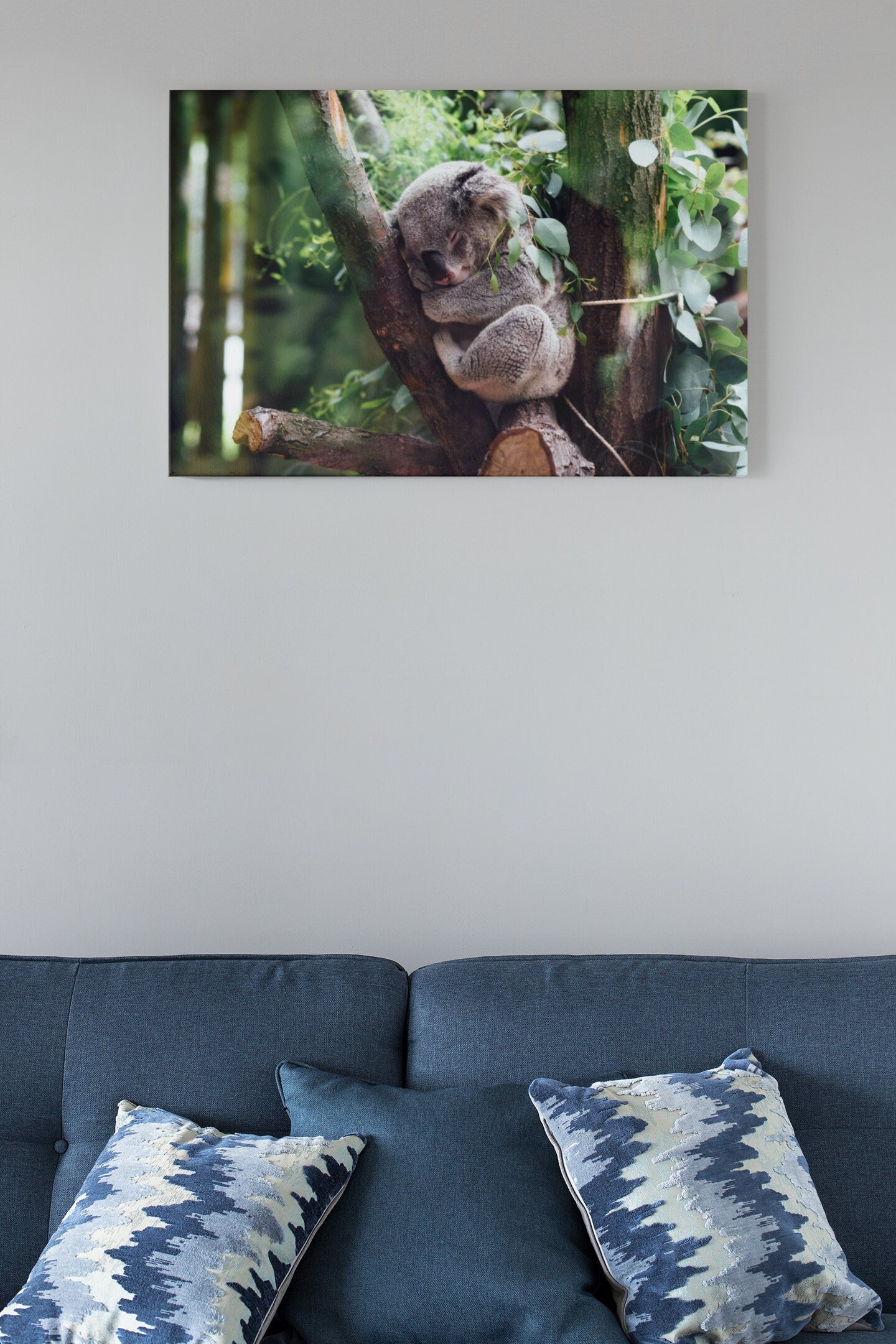 Koala Sleeping On A Tree Branch High Gloss Acrylic Glass Wall Art Ready To Hang