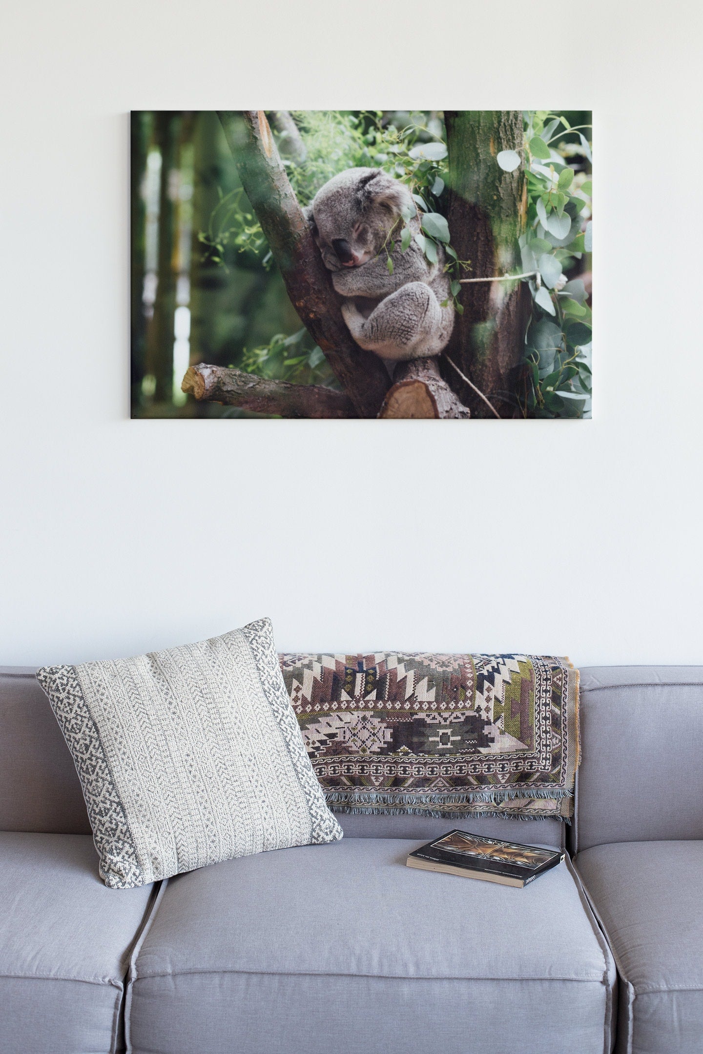Koala Sleeping On A Tree Branch High Gloss Acrylic Glass Wall Art Ready To Hang