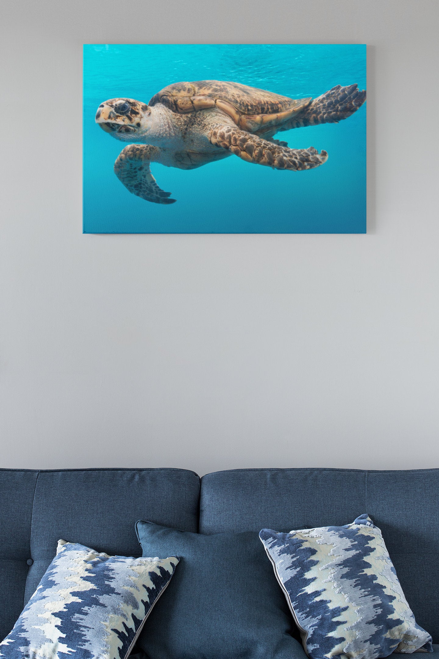 A Turtle Glides Through The Water High Gloss Acrylic Glass Wall Art Ready To Hang