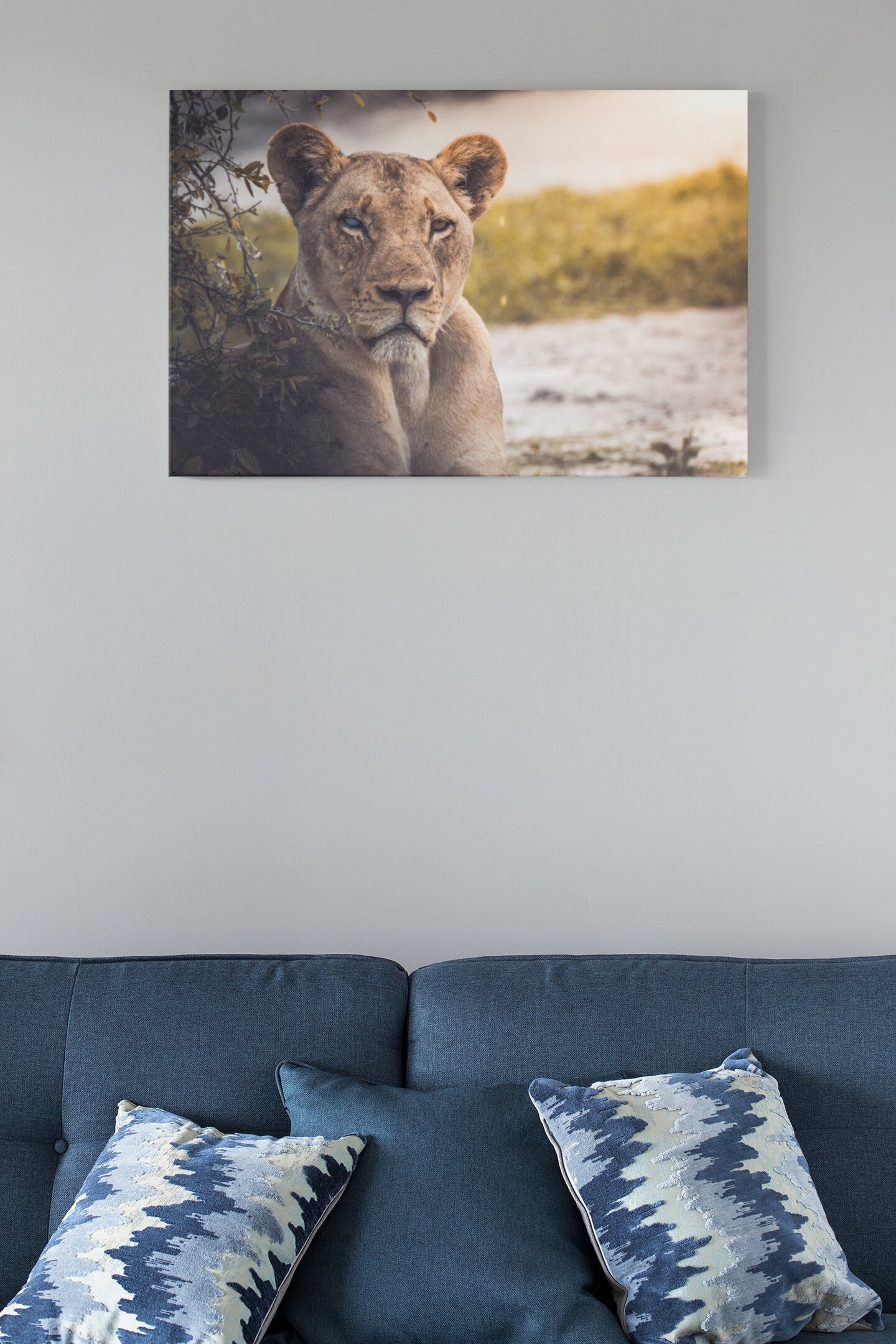 Female Lion High Gloss Acrylic Glass Wall Art Ready To Hang
