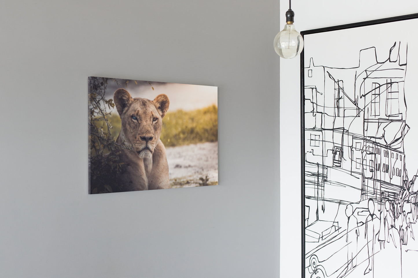Female Lion High Gloss Acrylic Glass Wall Art Ready To Hang