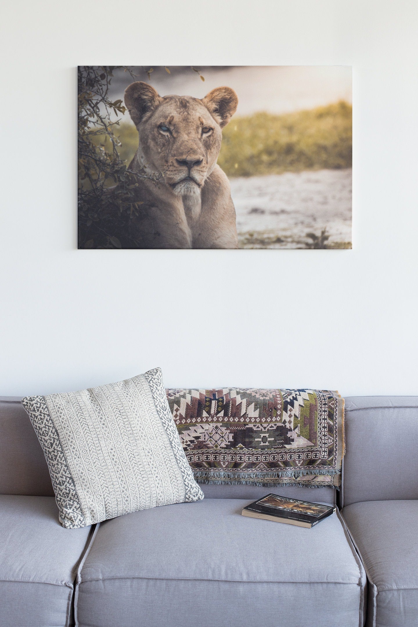 Female Lion High Gloss Acrylic Glass Wall Art Ready To Hang