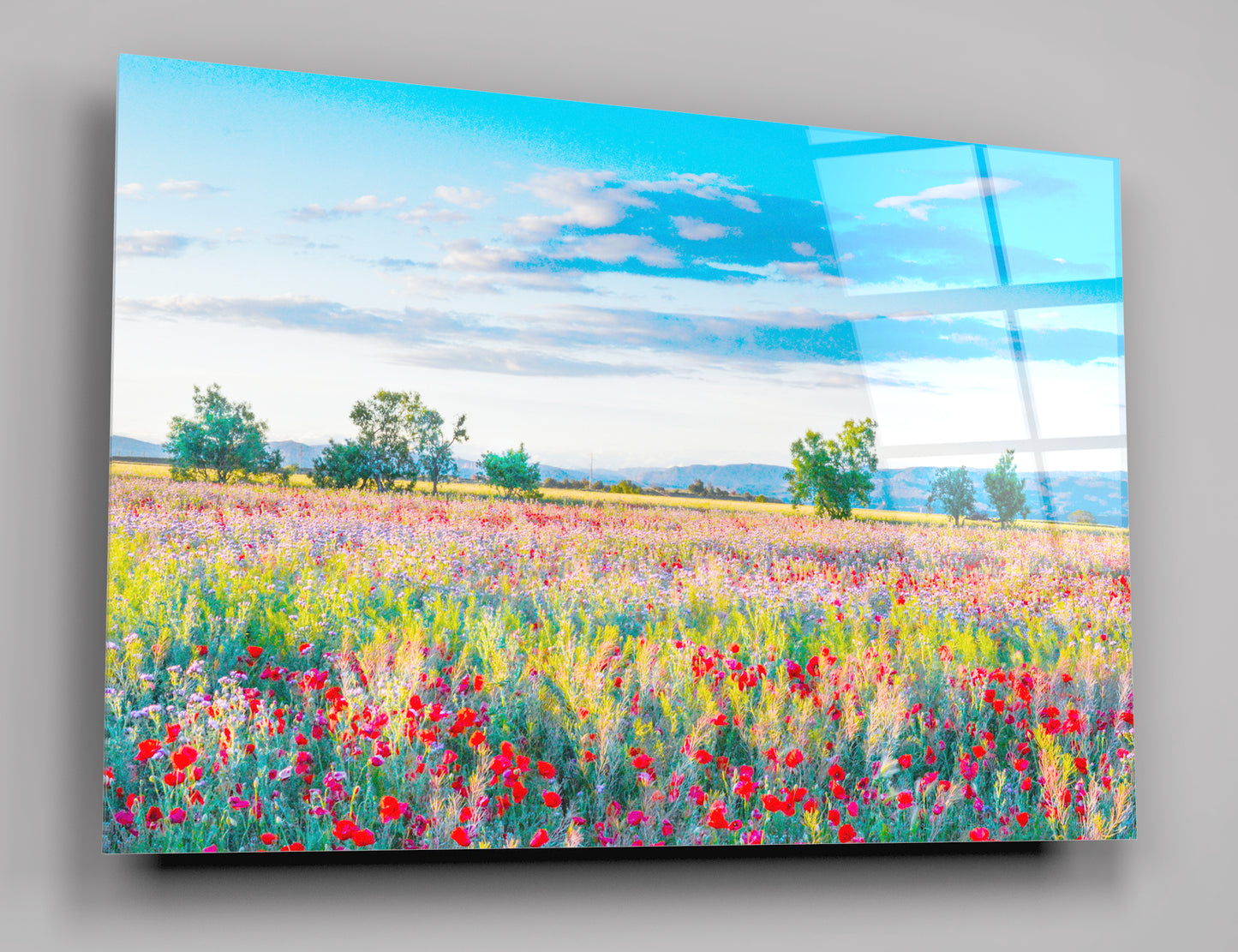 Poppy Field Glass Wall Art