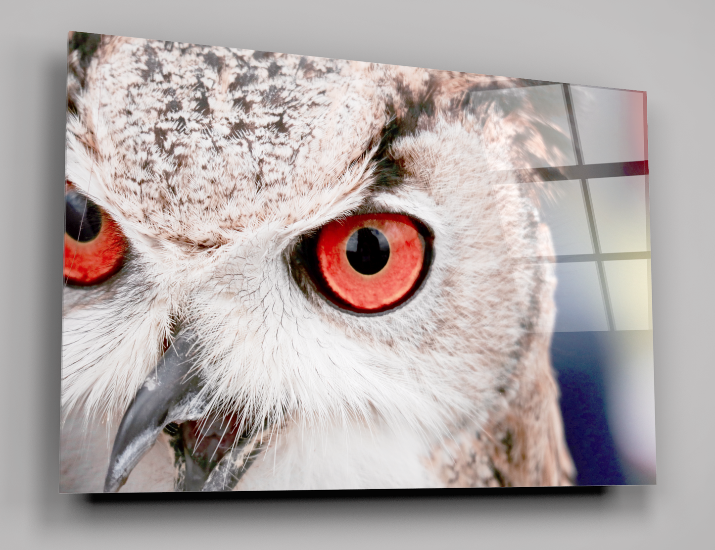 Owl With Red Eyes Acrylic Glass Wall Art