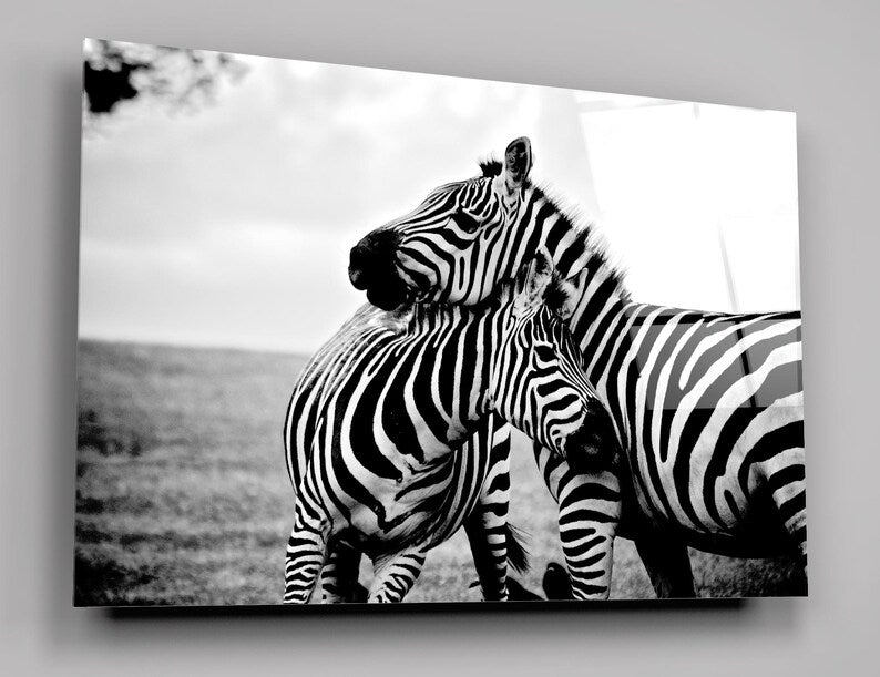 Zebras In The Wild Glass Wall Art