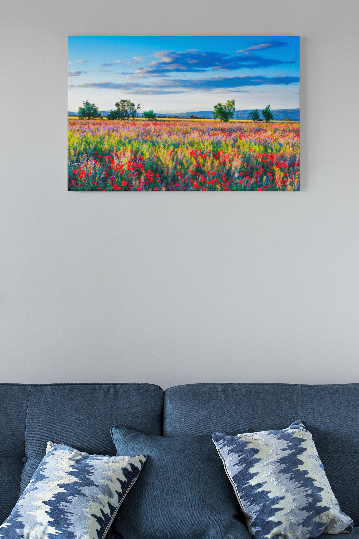 Poppy Field Glass Wall Art