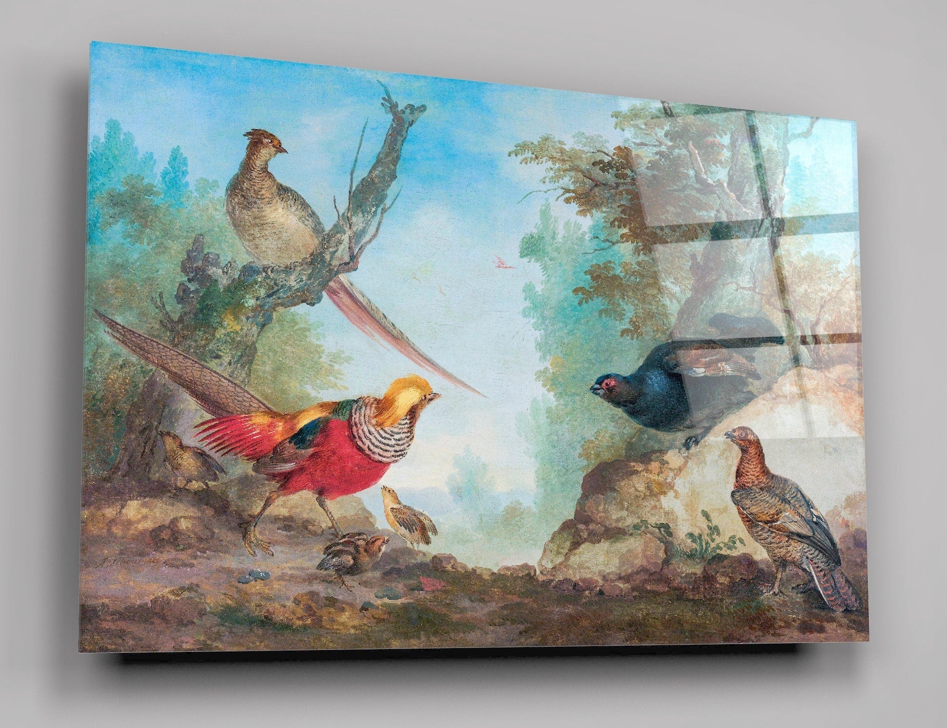 Pheasants By Aert Schouman High Gloss Acrylic Glass Wall Art Ready To Hang