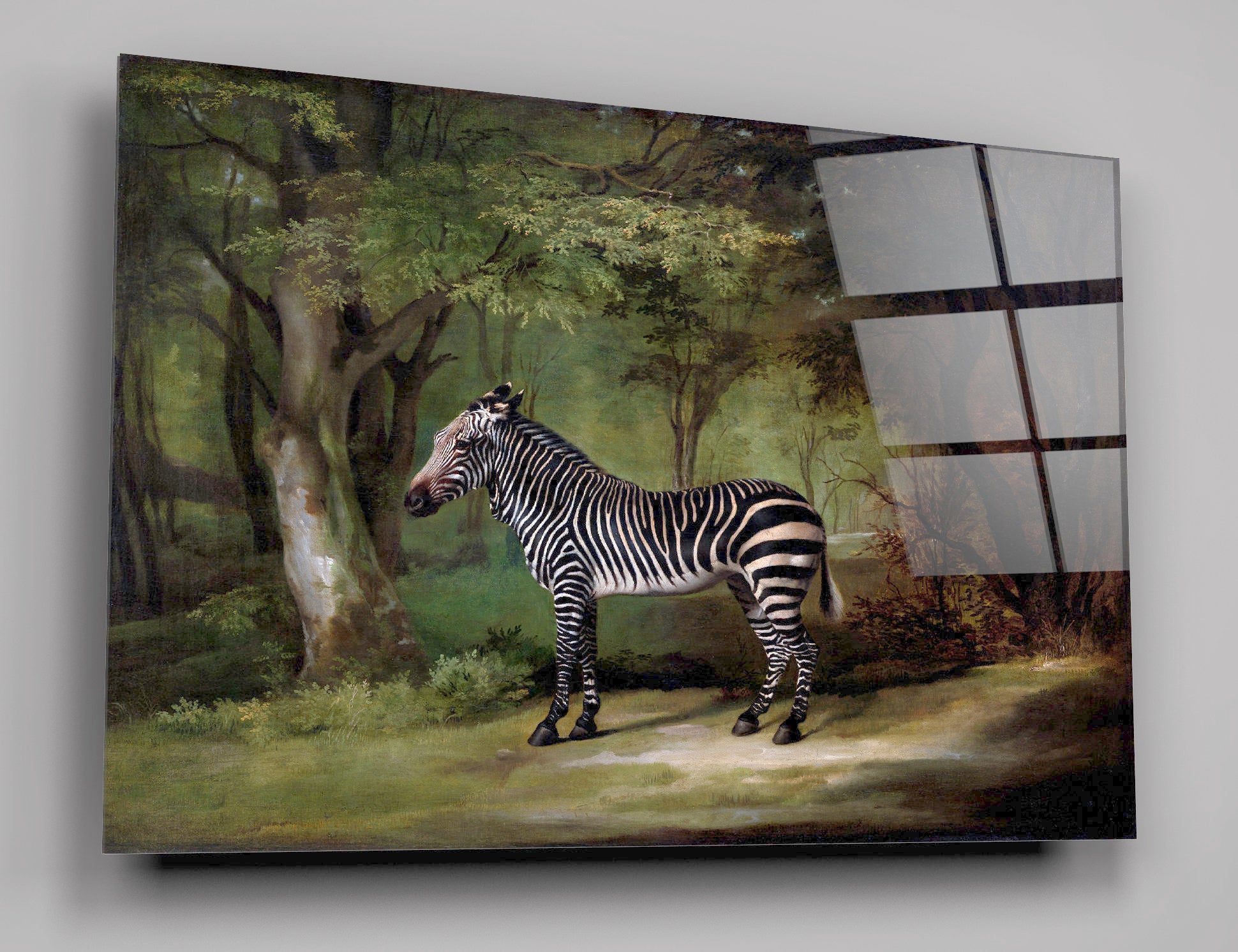 Zebra By George Stubbs High Gloss Acrylic Glass Wall Art Ready To Hang