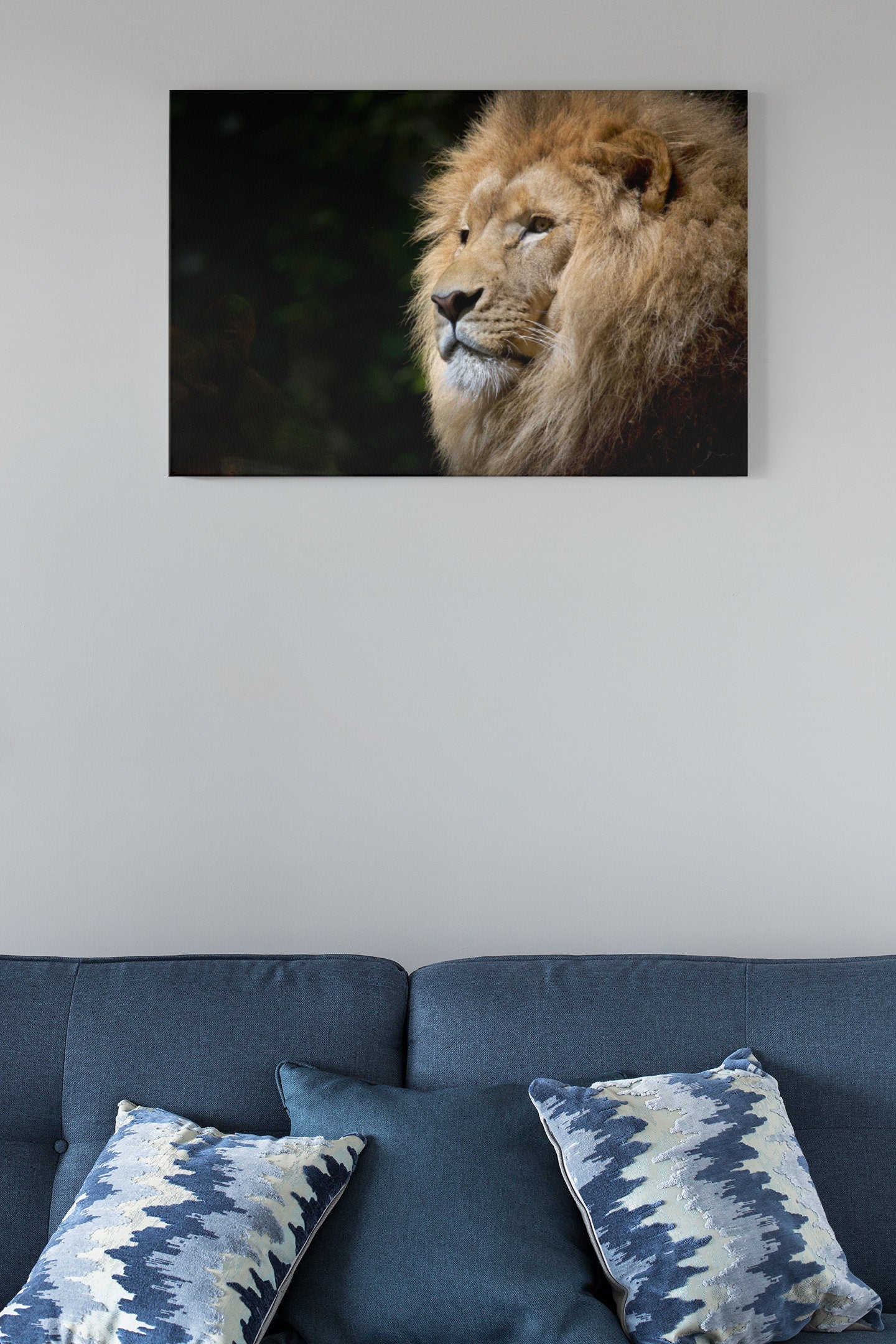 Male Lion Background High Gloss Acrylic Glass Wall Art Ready To Hang