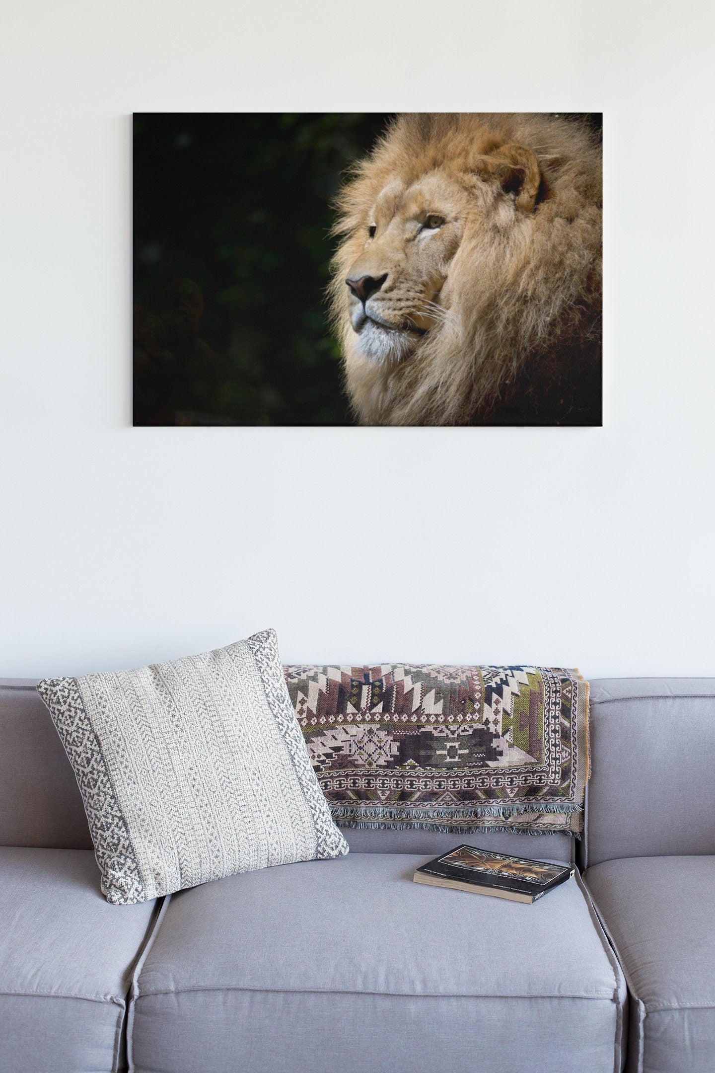 Male Lion Background High Gloss Acrylic Glass Wall Art Ready To Hang