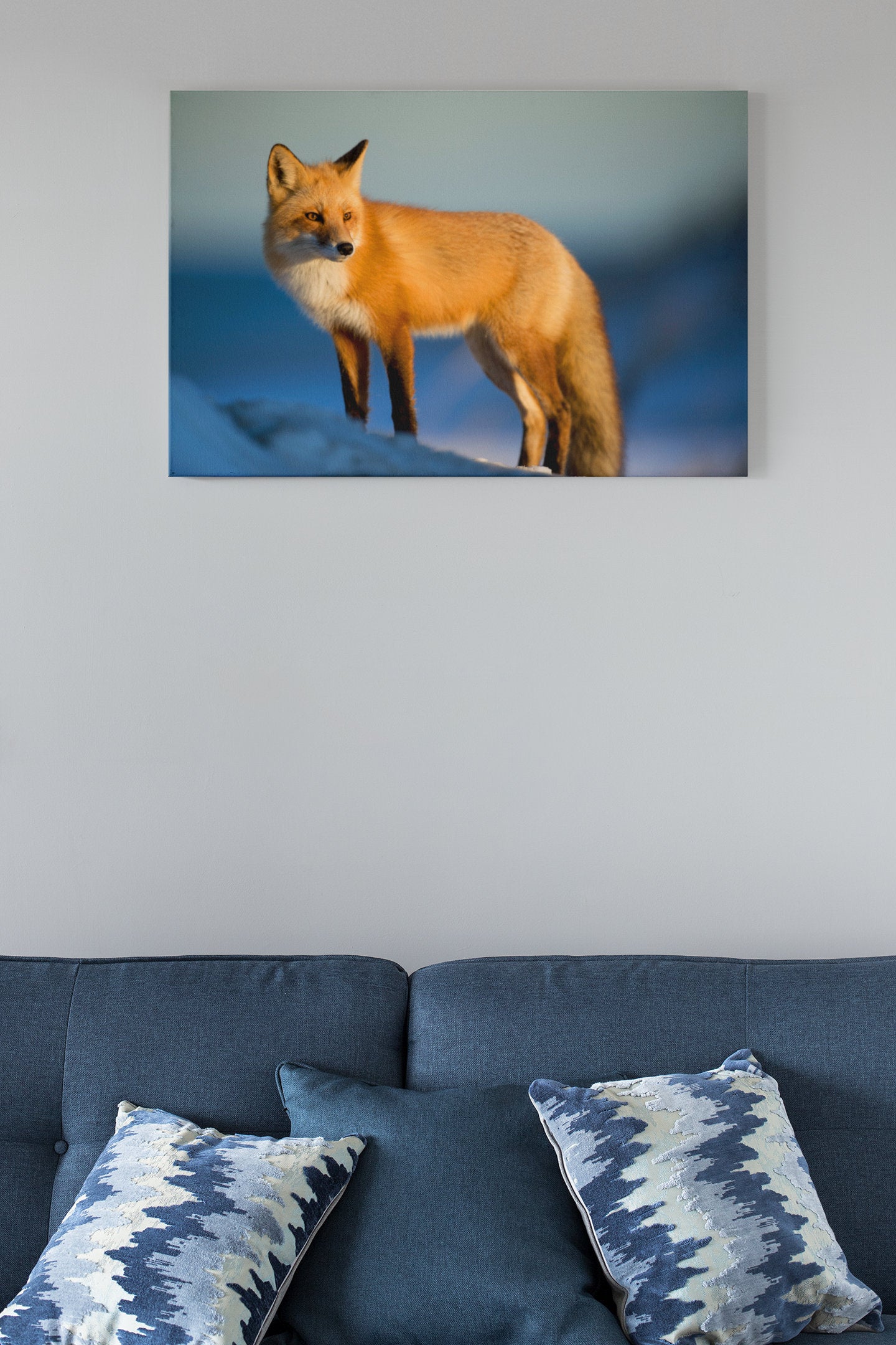 Wild Red Fox In The Winter High Gloss Acrylic Glass Wall Art Ready To Hang