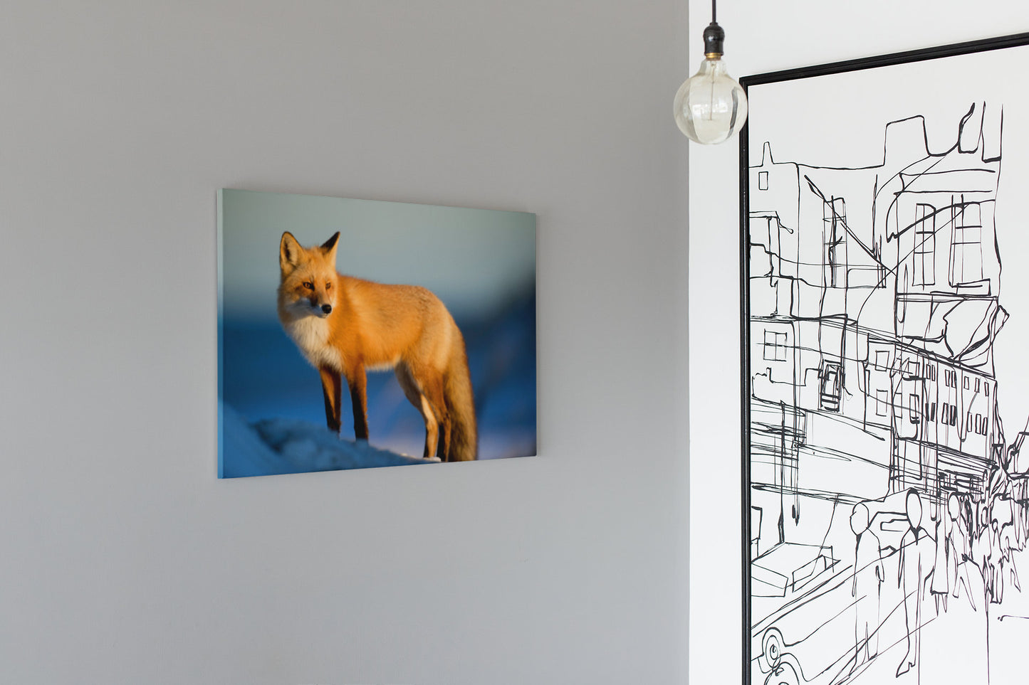 Wild Red Fox In The Winter High Gloss Acrylic Glass Wall Art Ready To Hang