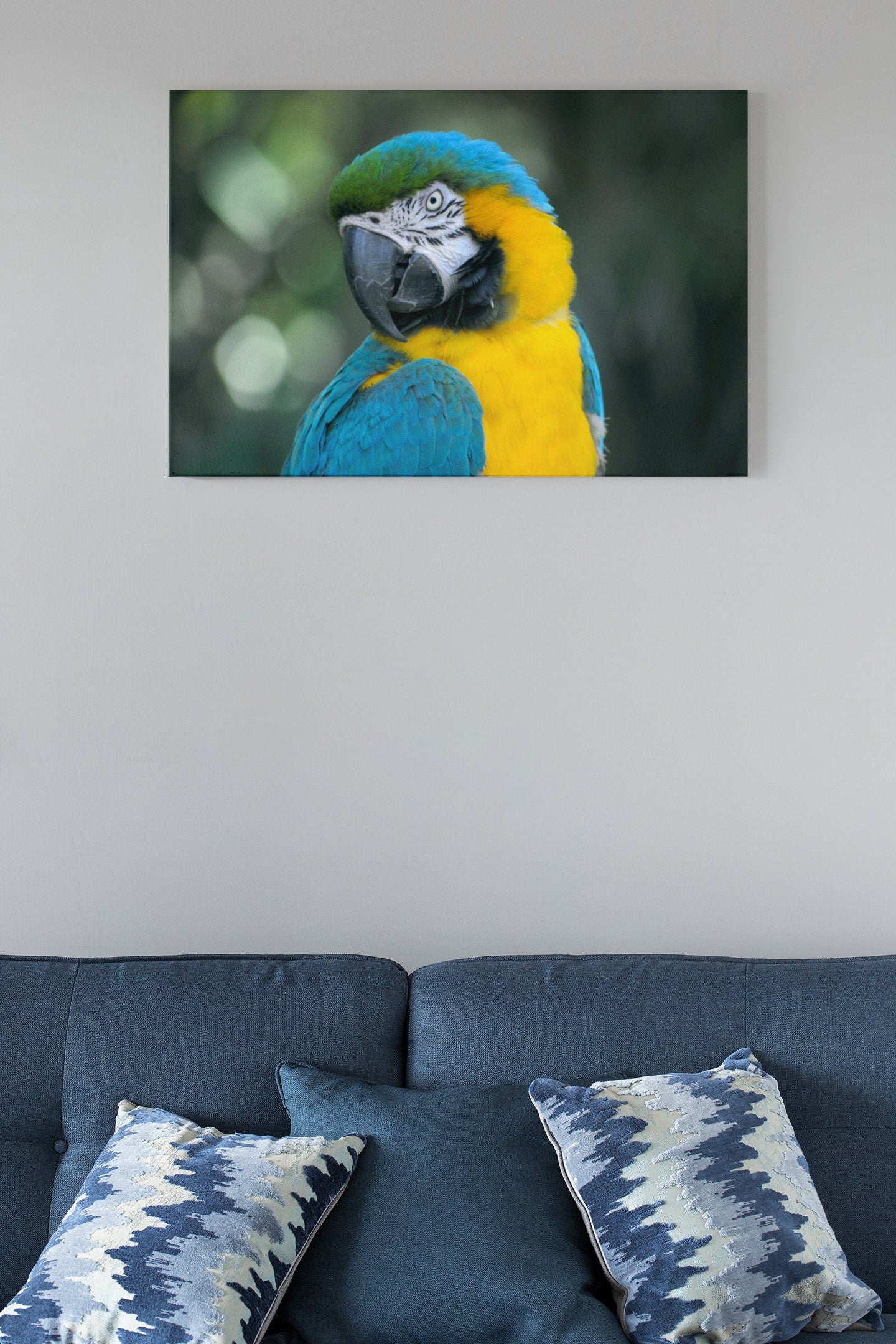 Parrot With Vibrant Blue, Yellow And Green Colours High Gloss Acrylic Glass Wall Art Ready To Hang