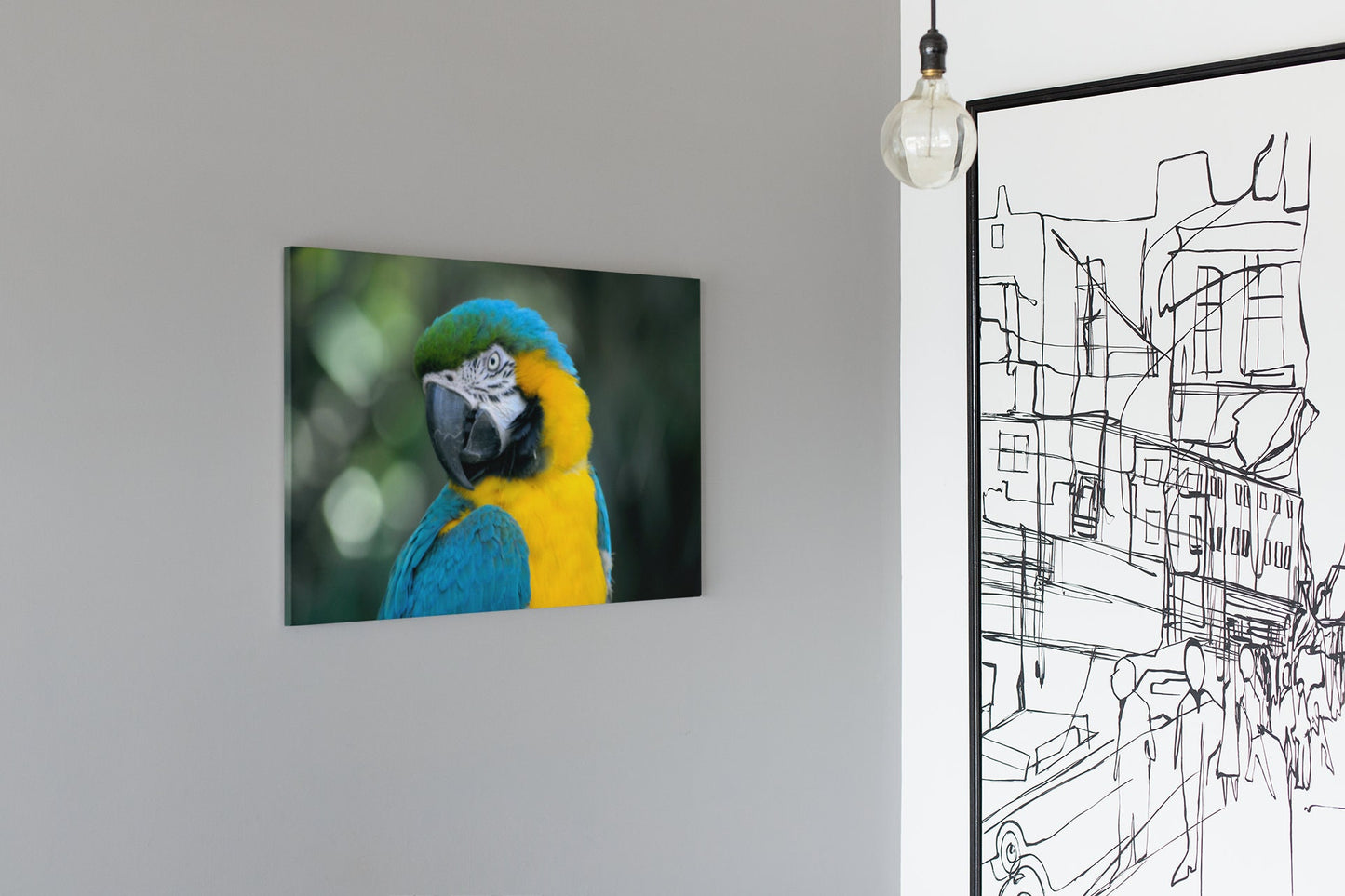 Parrot With Vibrant Blue, Yellow And Green Colours High Gloss Acrylic Glass Wall Art Ready To Hang