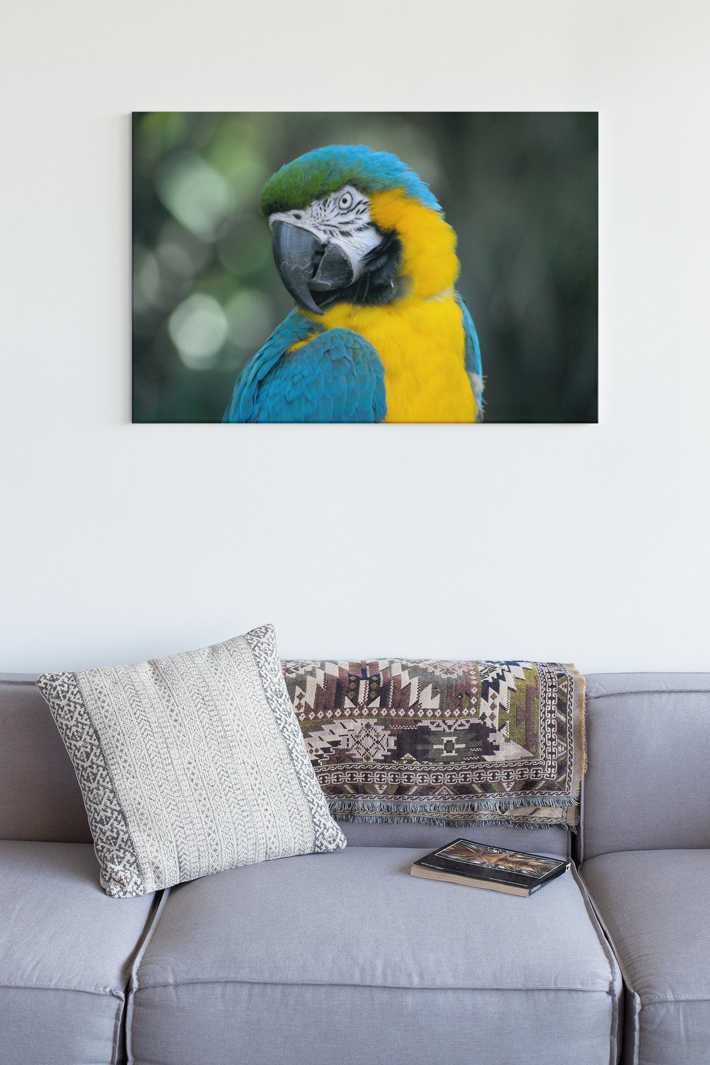 Parrot With Vibrant Blue, Yellow And Green Colours High Gloss Acrylic Glass Wall Art Ready To Hang